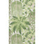 Cole & Son FERN LEAF GREEN AND OLIVE Wallpaper