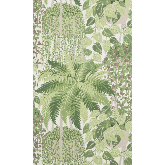 Cole & Son FERN LEAF GREEN AND OLIVE Wallpaper