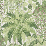 Cole & Son Fern Leaf Green And Olive Wallpaper