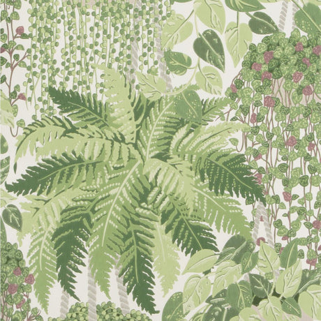 Cole & Son Fern Leaf Green And Olive Wallpaper