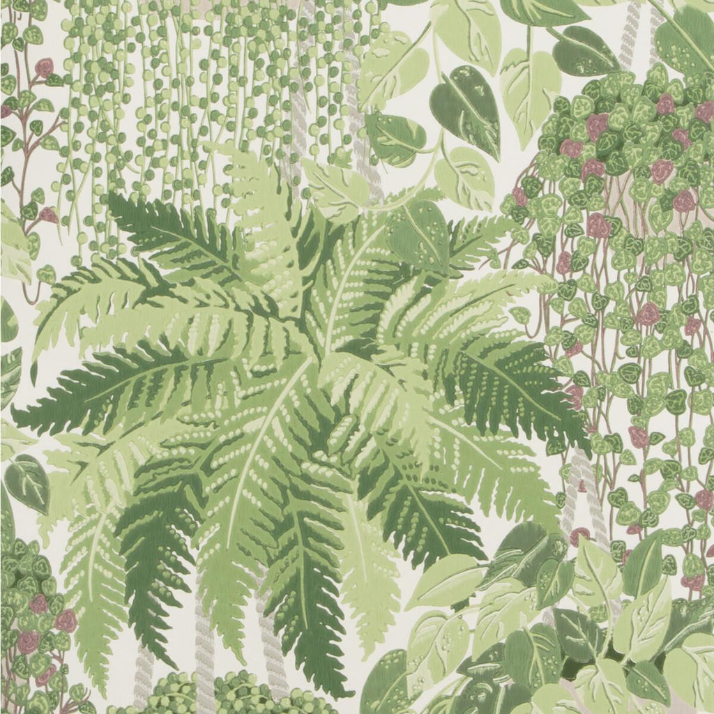Cole & Son Fern Leaf Green And Olive Wallpaper