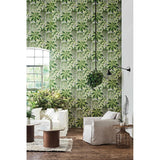 Cole & Son FERN LEAF GREEN AND OLIVE Wallpaper