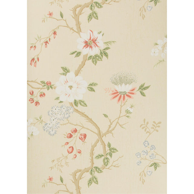 Cole & Son CAMELLIA CORAL/SAGE/BUTTERC Wallpaper