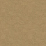 Lee Jofa DUBLIN LINEN PEANUT Fabric