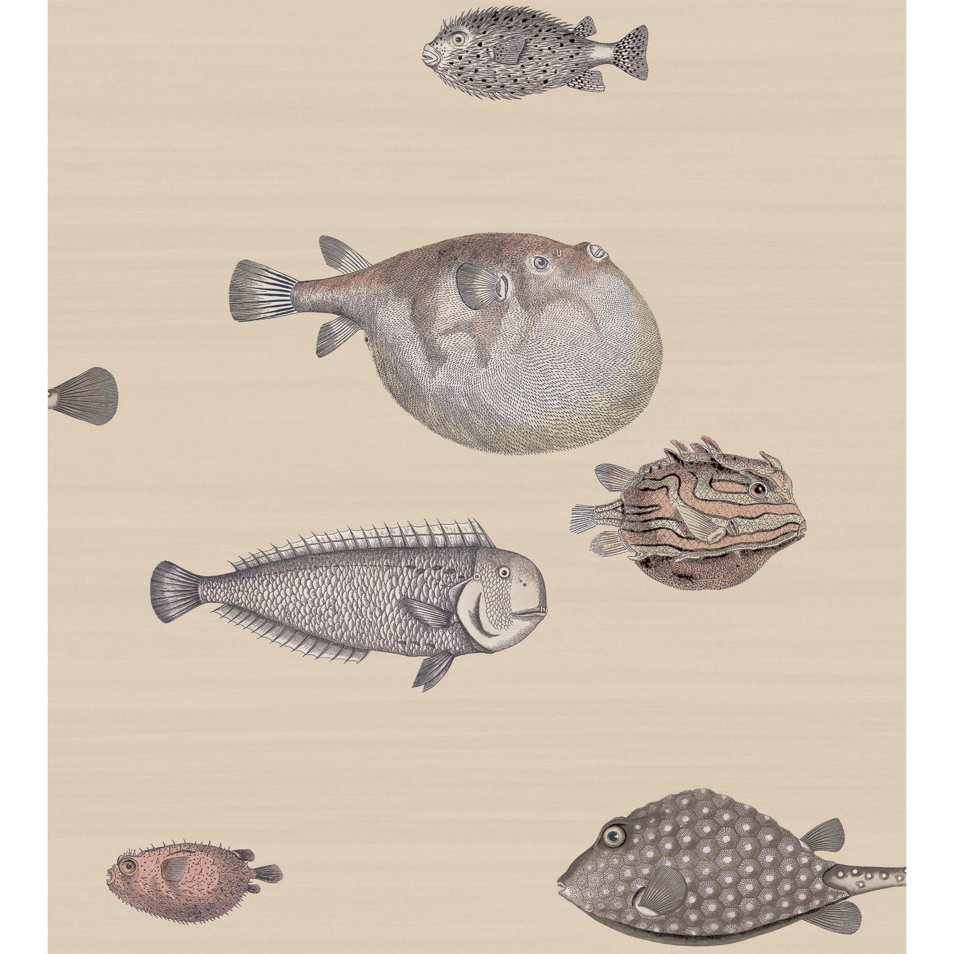 Cole & Son Acquario Taupe Wallpaper