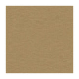 Kravet Dublin Peanut Fabric