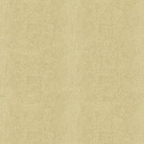 Kravet CHIC SHAGREEN WHITE GOLD Upholstery Fabric