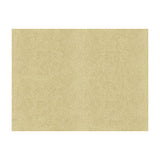 Kravet Chic Shagreen White Gold Fabric