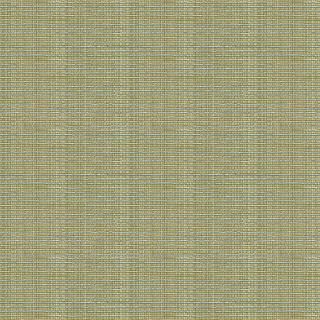 Kravet SMART 32946 1516 Upholstery Fabric