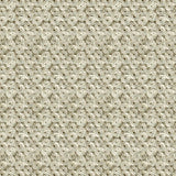 Kravet ROYAL AFFAIR PLATINUM Fabric