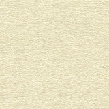 Kravet BETTINA BOUCLE SNOW Upholstery Fabric