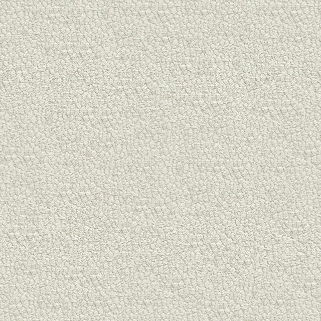Kravet JATOBA MINERAL Upholstery Fabric