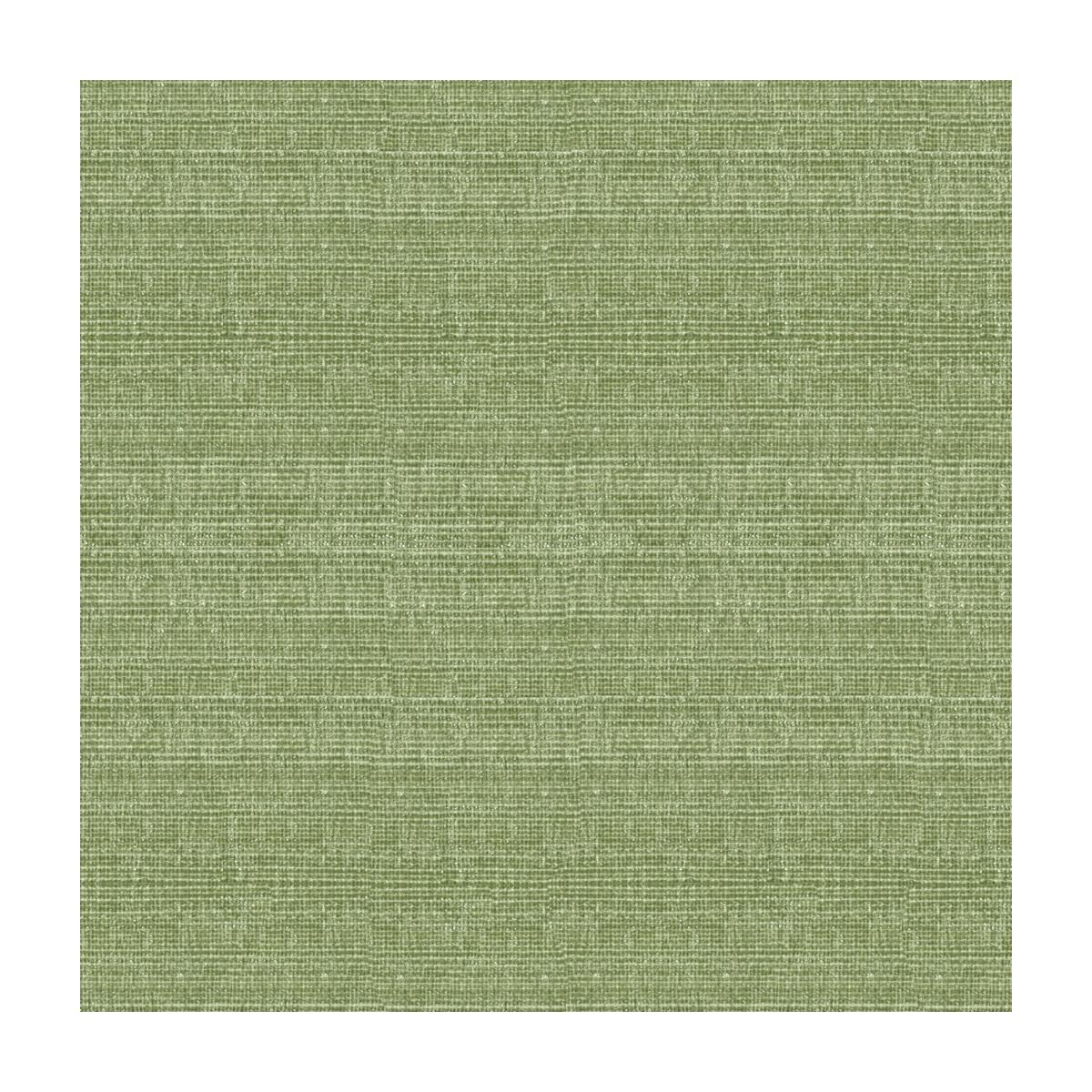 Kravet 34191 3 Fabric