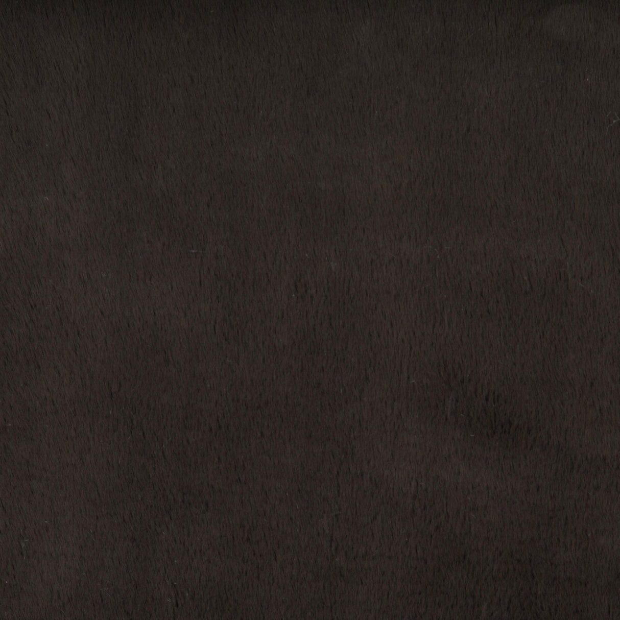 Kravet BASICS 34642 6 Upholstery Fabric