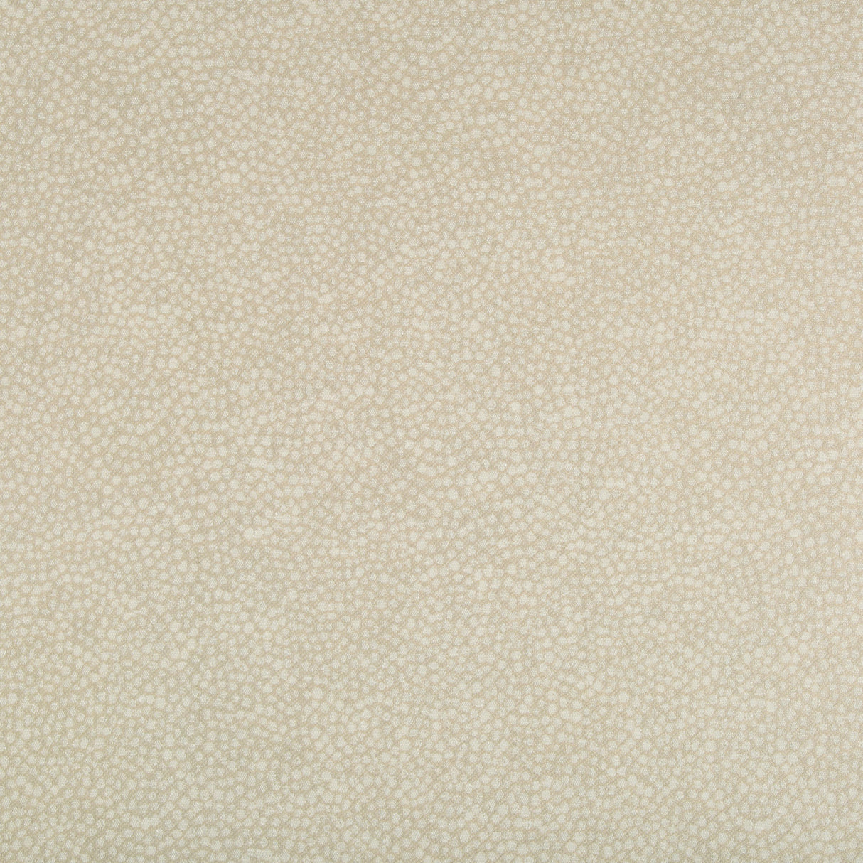 Kravet PEBBLEDOT SAND Upholstery Fabric