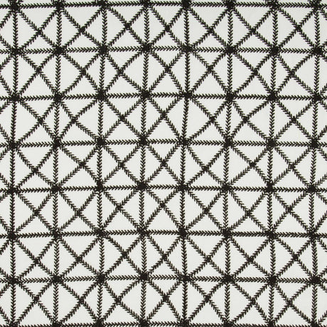 Kravet X-Squared Black Fabric