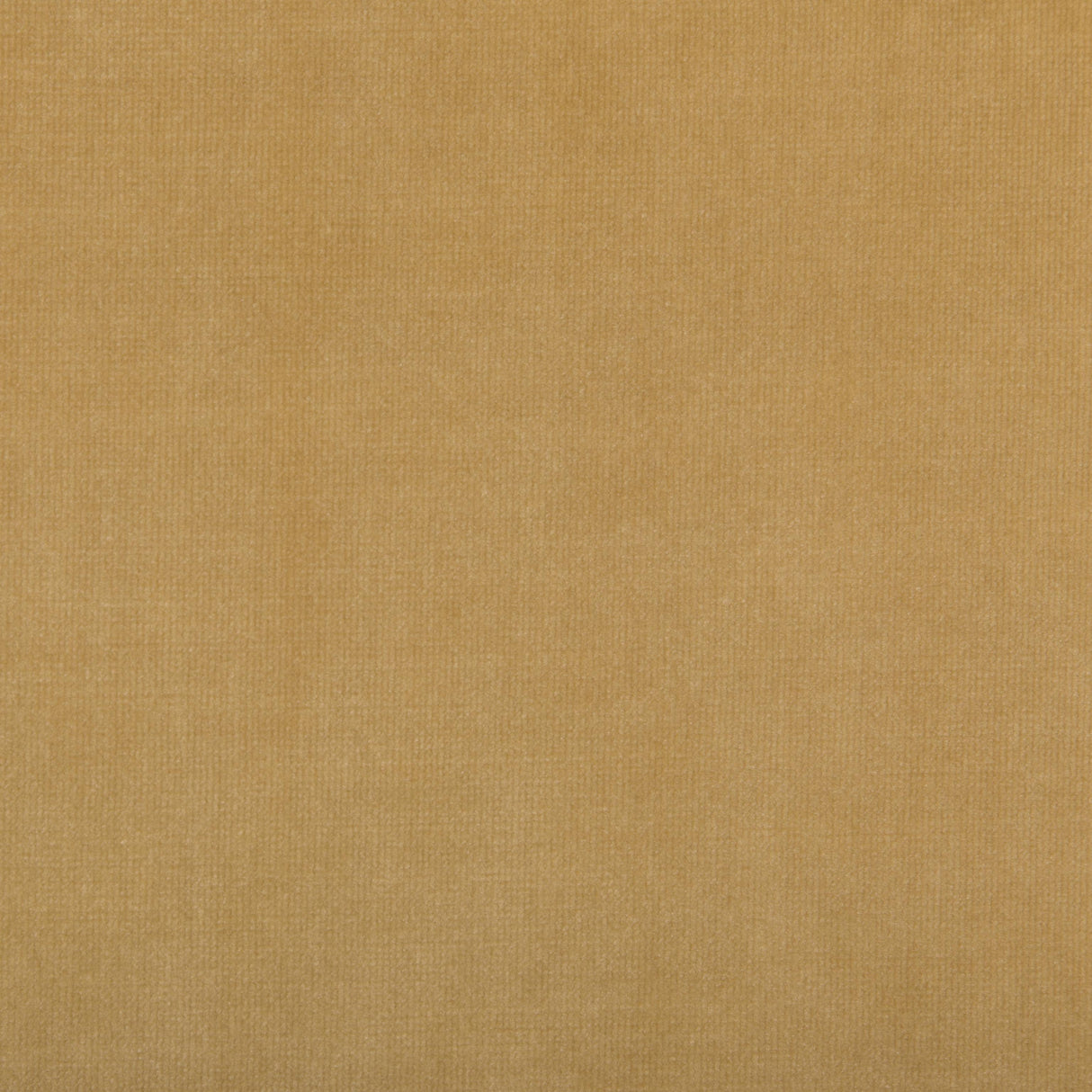 Kravet CALMATIVE CAMEL Upholstery Fabric