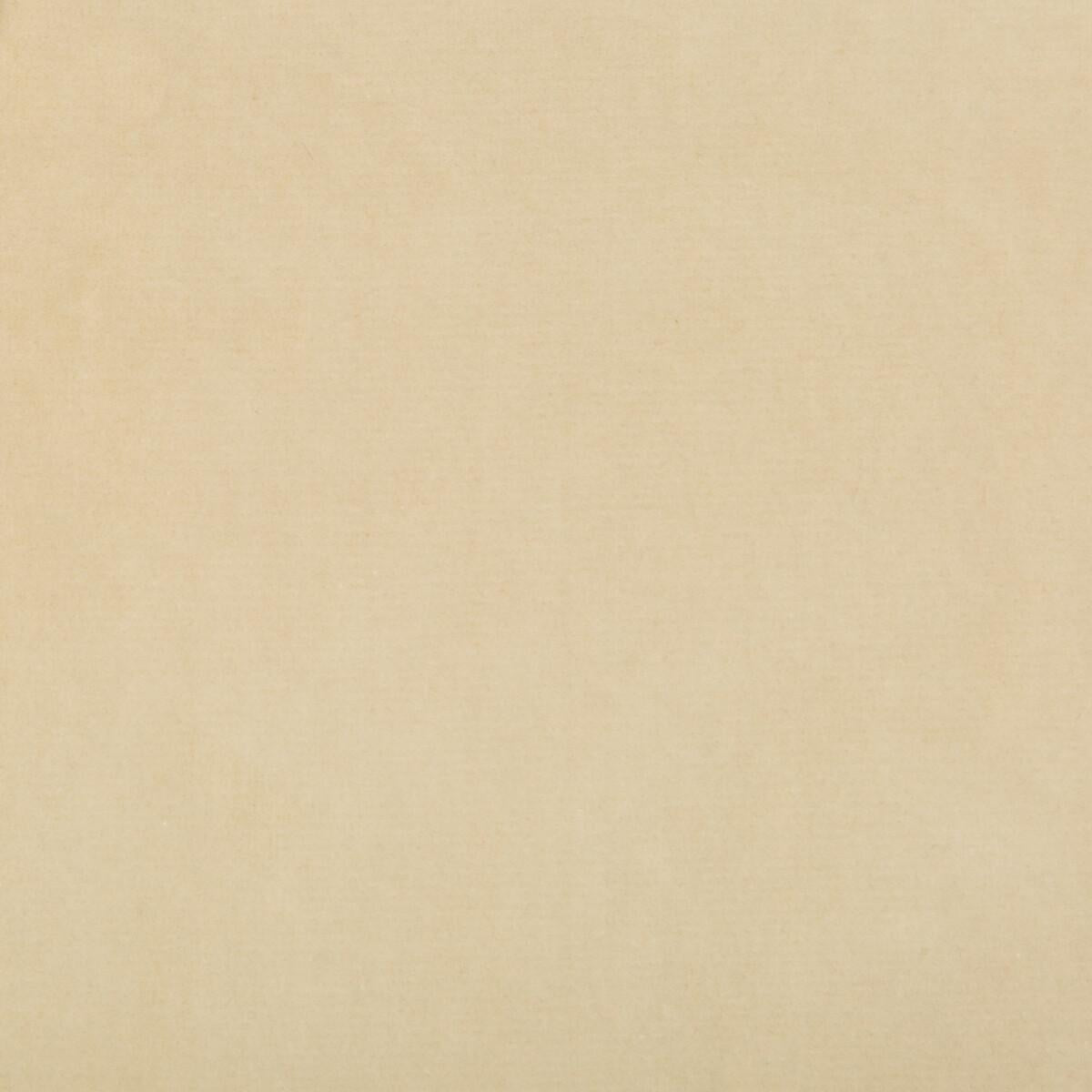 Kravet 35366 1116 Fabric