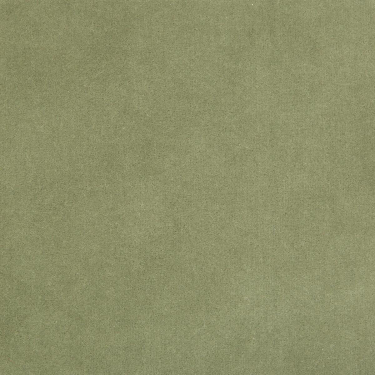 Kravet 35366 113 Fabric