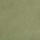 Kravet 35366 113 Fabric