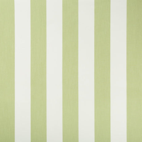 Kravet 35373 3 Fabric