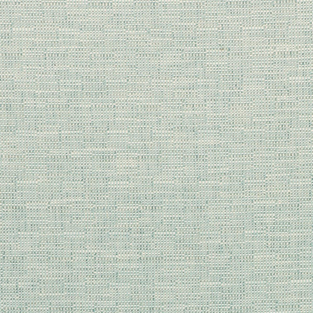 Kravet KRAVET SMART 35518-135 Fabric