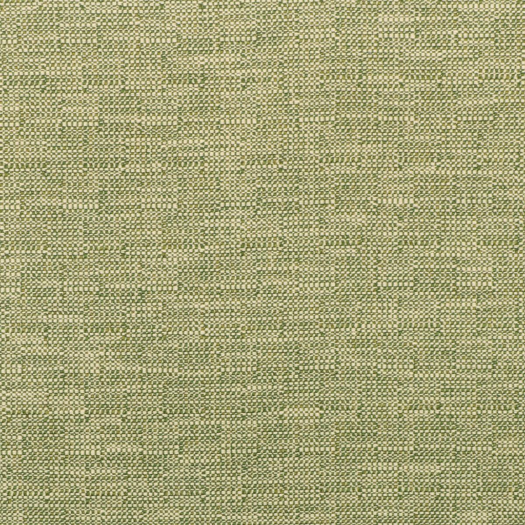 Kravet KRAVET SMART 35518-30 Fabric