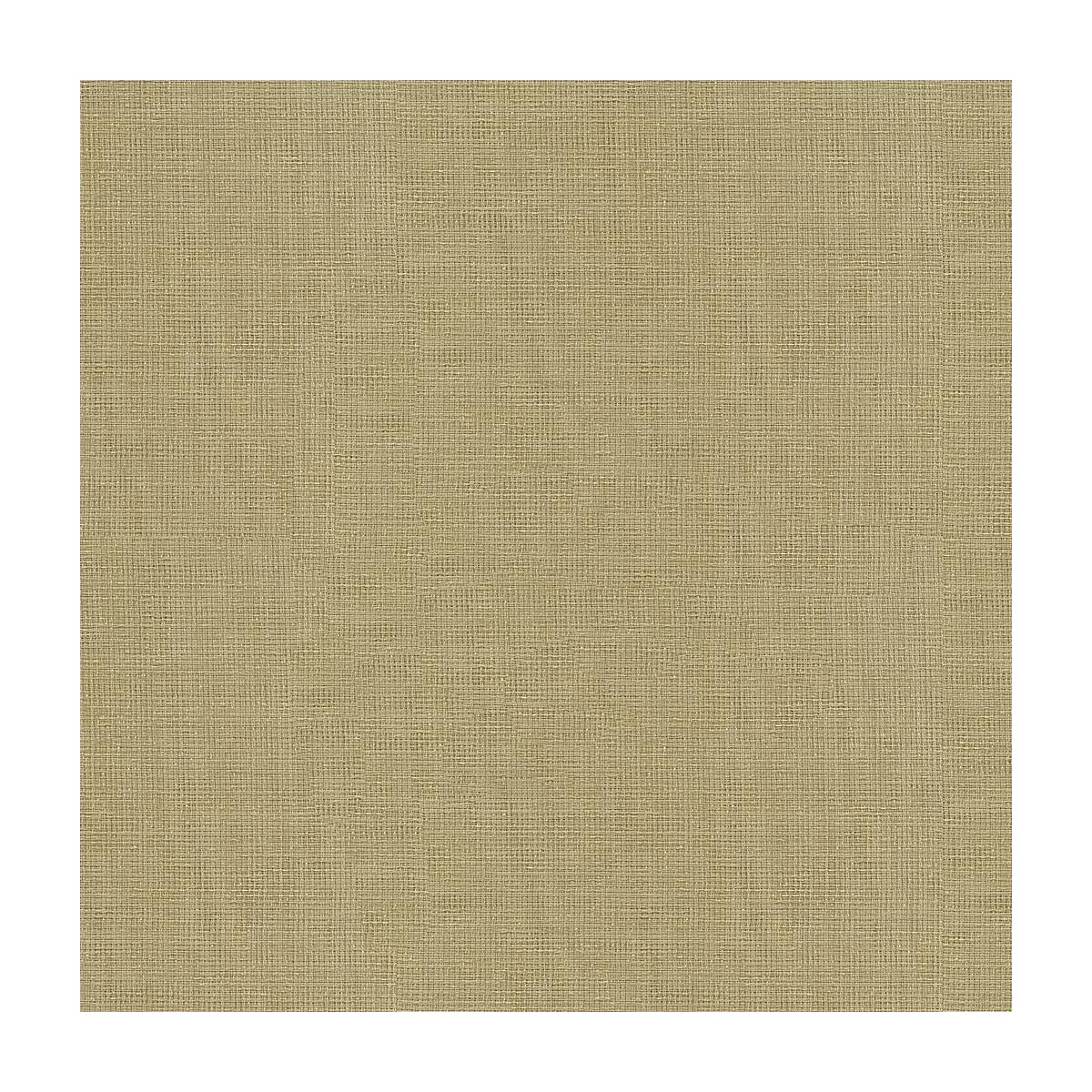 Kravet 4164 16 Fabric