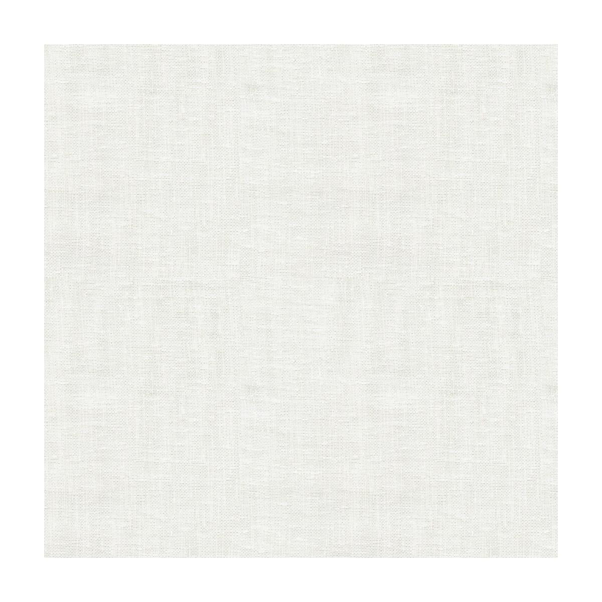 Kravet 4166 101 Fabric