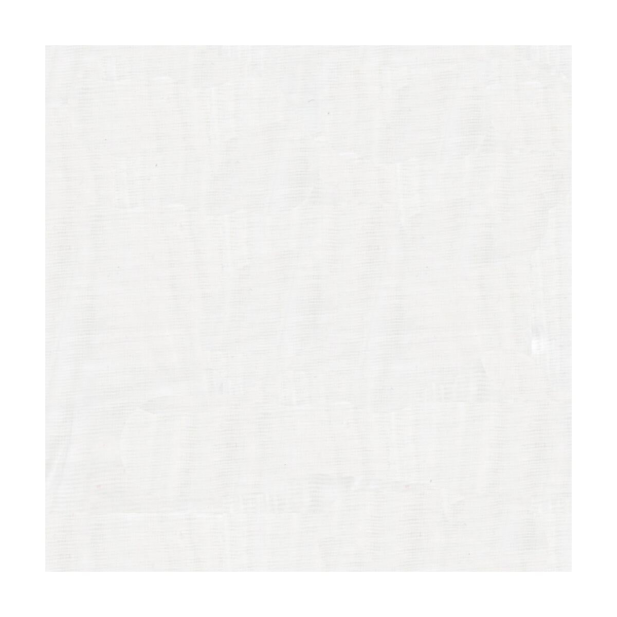 Kravet 4169 1 Fabric