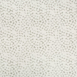 Kravet OLIVOS LIMESTONE Drapery Fabric