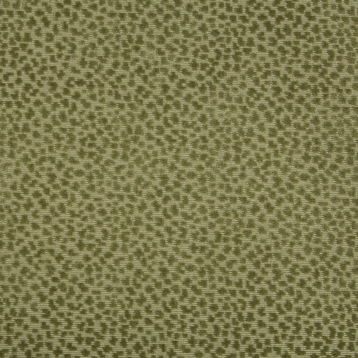 Brunschwig & Fils LA PANTHERE VELVET MOSS Upholstery Fabric