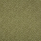 Brunschwig & Fils LA PANTHERE VELVET MOSS Upholstery Fabric