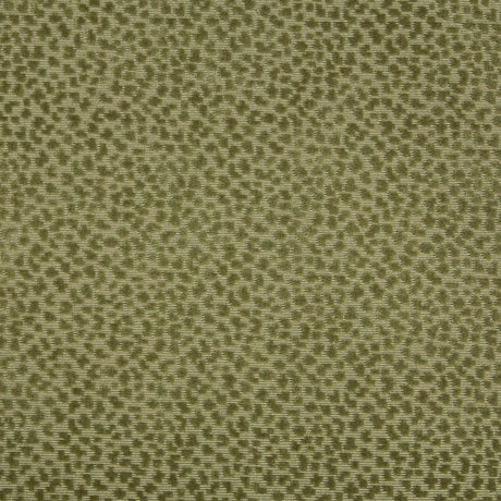 Brunschwig & Fils LA PANTHERE VELVET MOSS Upholstery Fabric
