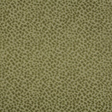 Brunschwig & Fils LA PANTHERE VELVET MOSS Fabric