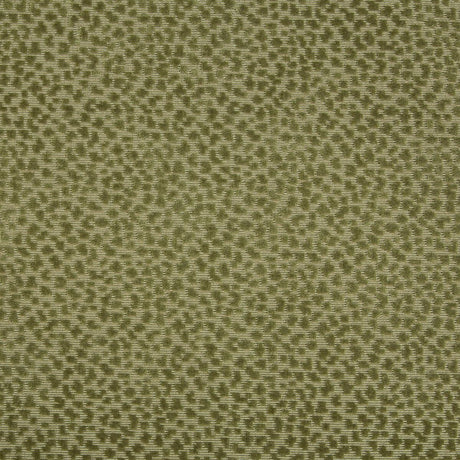 Brunschwig & Fils LA PANTHERE VELVET MOSS Fabric