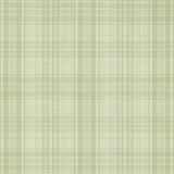 Brunschwig & Fils GUERNSEY CHECK CELERY Upholstery Fabric