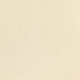 Brunschwig & Fils GAMBETTA WEAVE IVORY Fabric