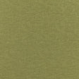 Brunschwig & Fils GAMBETTA WEAVE VERD Upholstery Fabric