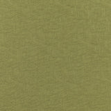 Brunschwig & Fils GAMBETTA WEAVE VERD Upholstery Fabric