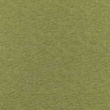 Brunschwig & Fils GAMBETTA WEAVE VERD Fabric