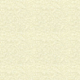 Kravet AIRY WOOL Drapery Fabric