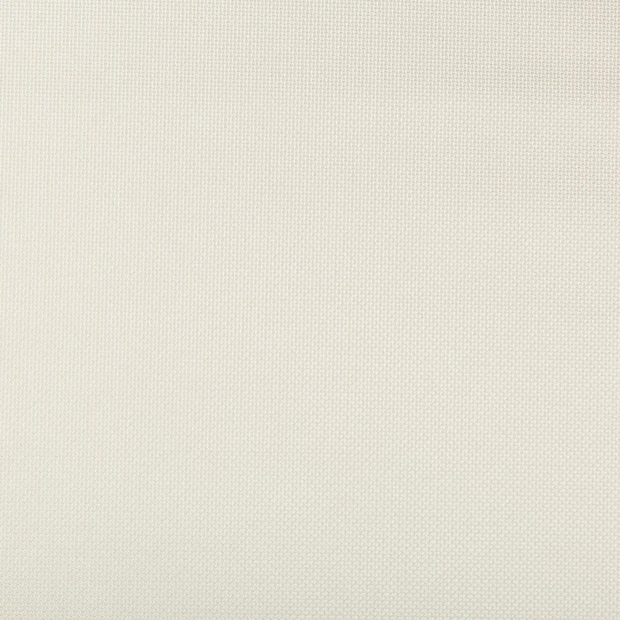 Kravet DESIGN AFFIRMED 116 Upholstery Fabric