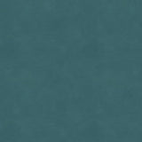 Kravet SMART ALINA 5 Upholstery Fabric