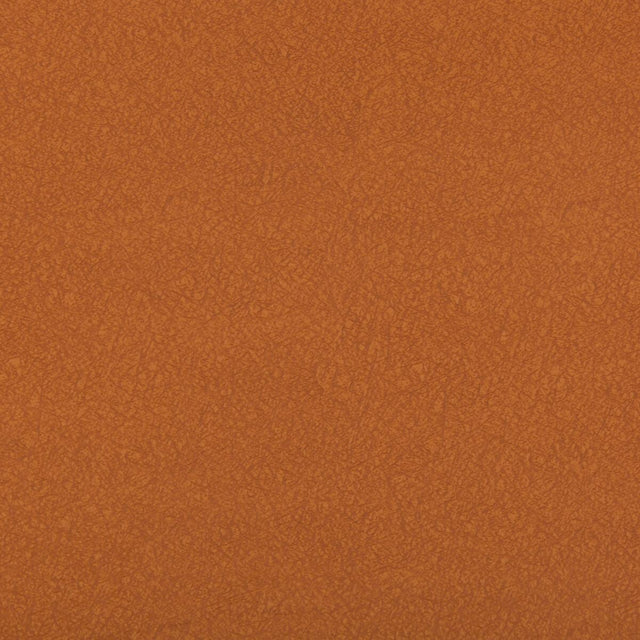 Kravet AMES CANYON Upholstery Fabric