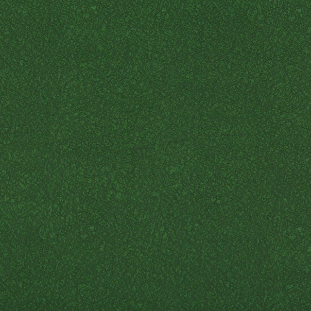 Kravet AMES FOREST Upholstery Fabric