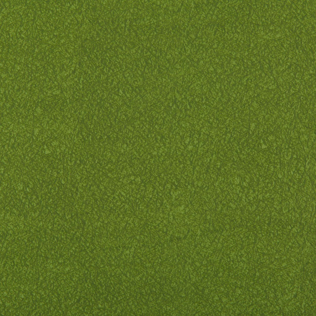 Kravet AMES MOSS Upholstery Fabric