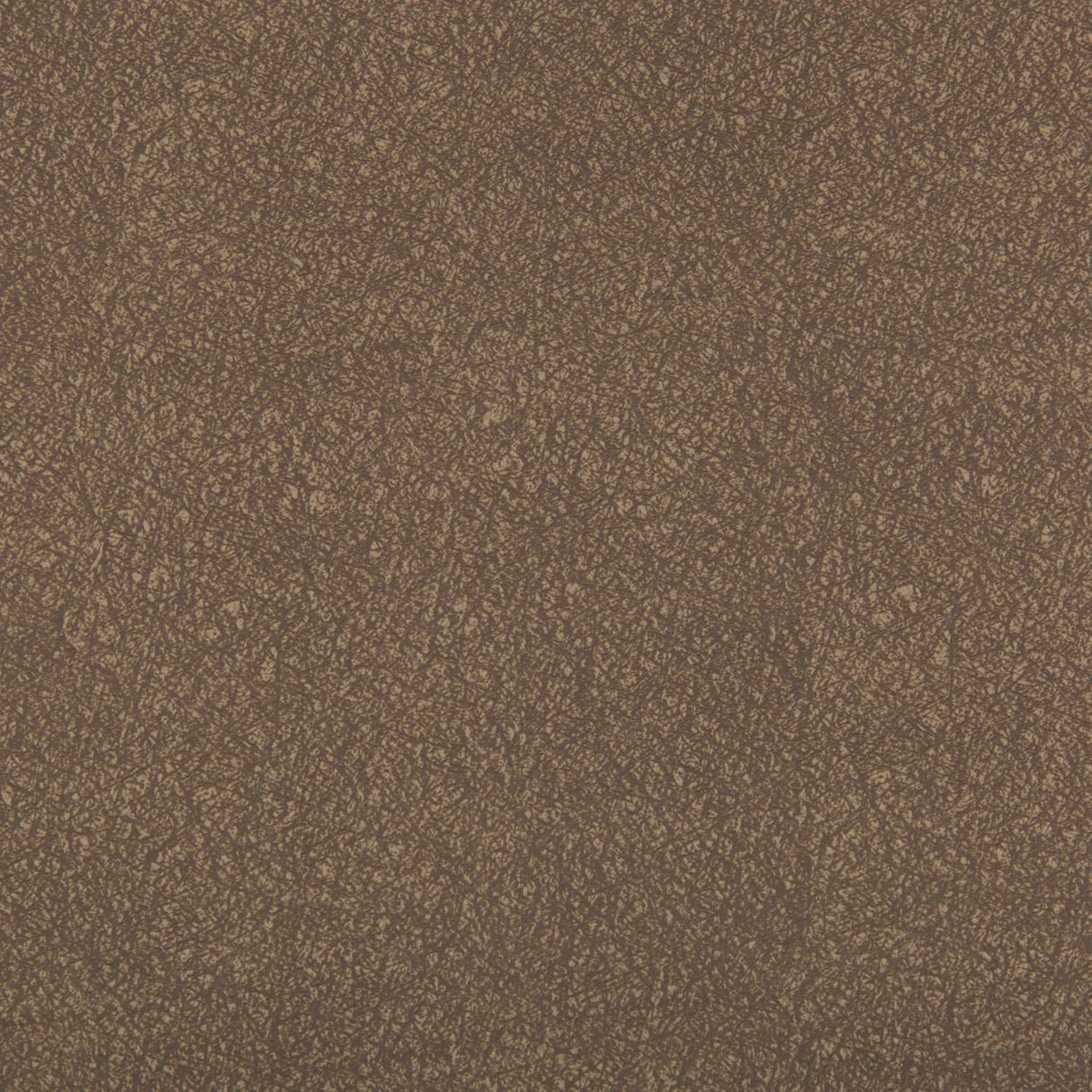 Kravet AMES ELEPHANT Upholstery Fabric