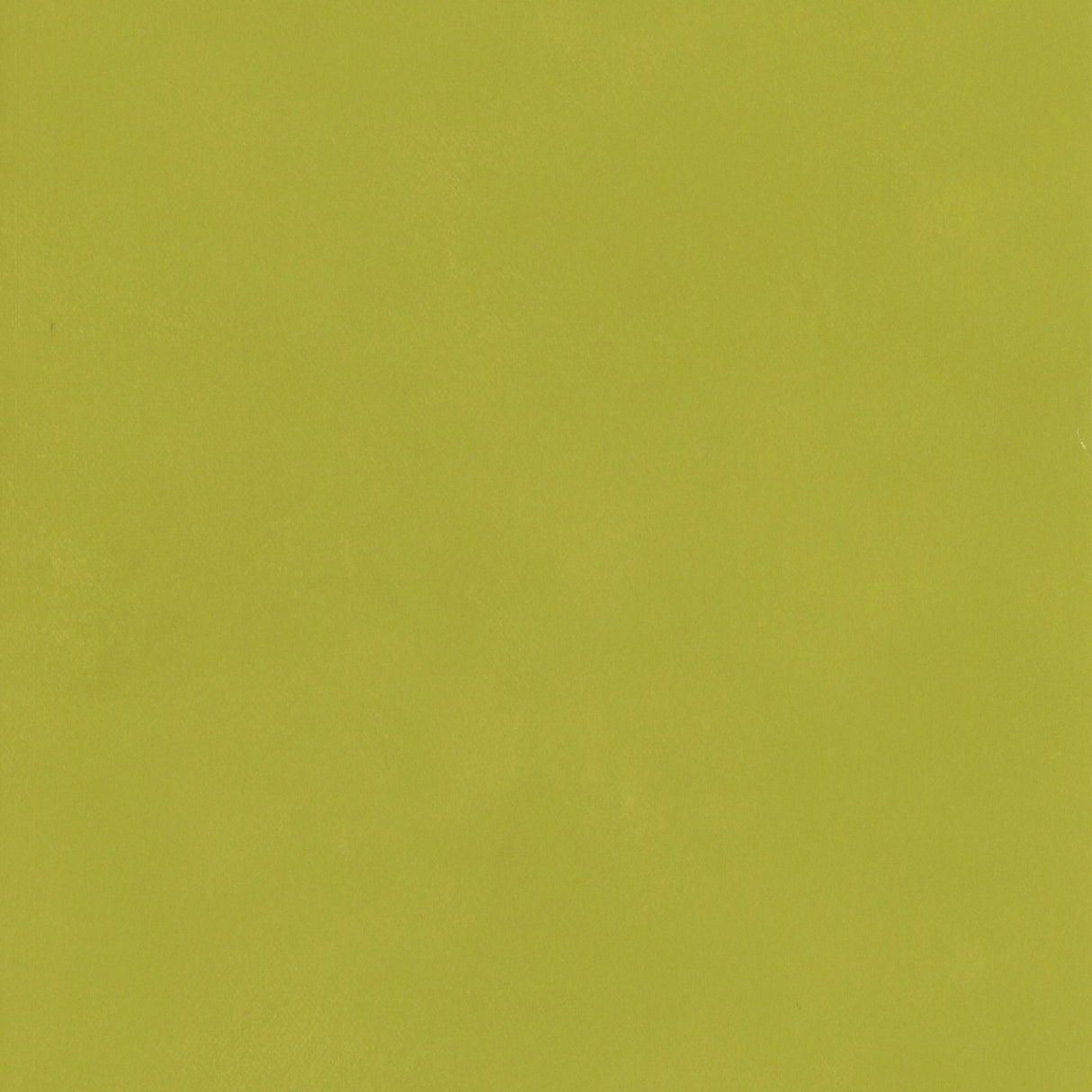 Andrew Martin JAPAN CITRUS Wallpaper