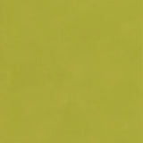 Andrew Martin JAPAN CITRUS Wallpaper